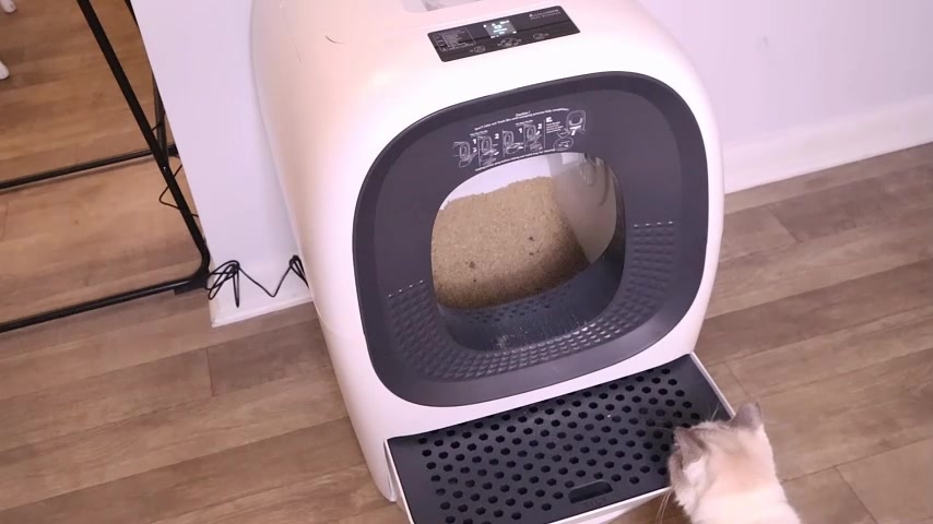 리얼스쿠퍼 언박싱