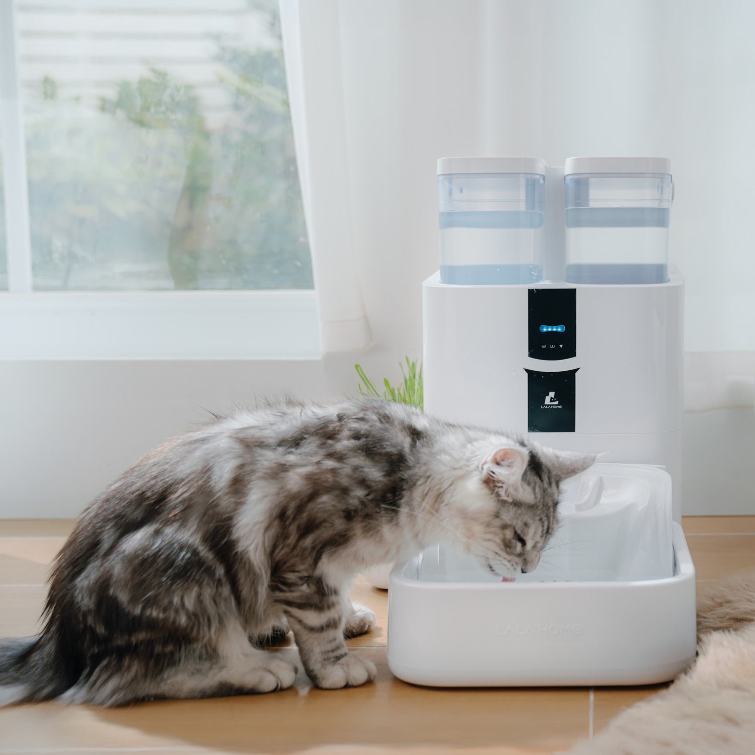 리얼파운틴 스마트 음수기